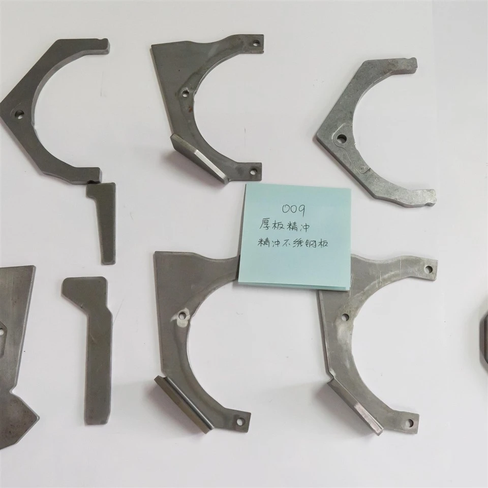 High Precision Fine Blanking Blanked Stainless Steel Parts Manufacturing suppliers