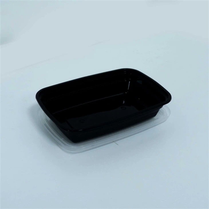 Single-Use Lunch Containers with Lids - For Office Lunches and Picnics (5)